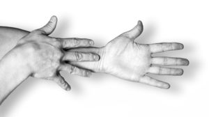 Capturing Hand-Object Interaction and Reconstruction of Manipulated Objects