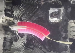 Robotic fish learns to match its swimming speed to the current
