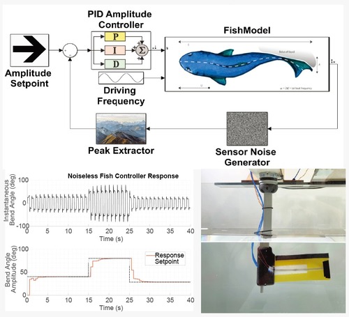 Modeling and Control of a Soft Robotic Fish with Integrated Soft Sensing